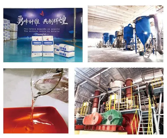 China Factory Water Proof Concrete Admixture Rdp for Cement Based Mortar